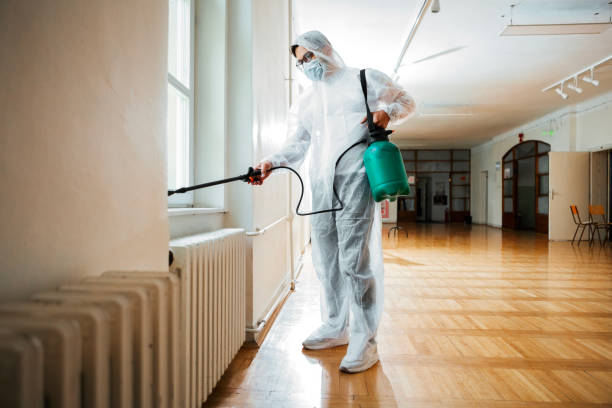 Best Best Pest Control Companies  in Country Knolls, NY