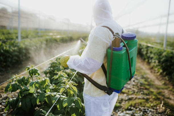 Country Knolls, NY Pest Control Company